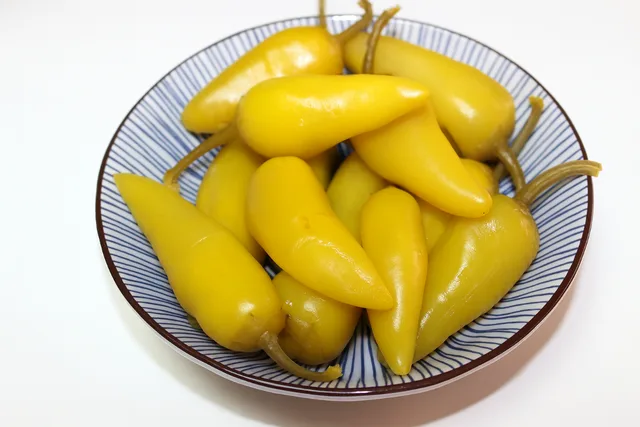 علبة لسعة